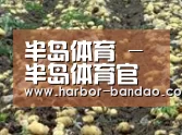种植基地八(图1)