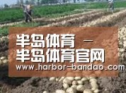 种植基地七(图1)